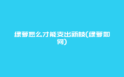 绿萝怎么才能支出新枝(绿萝如何)