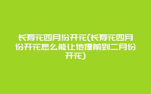 长寿花四月份开花(长寿花四月份开花怎么能让他提前到二月份开花)