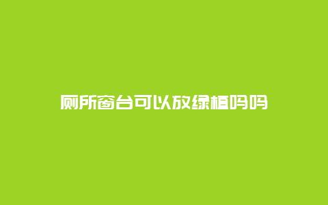 厕所窗台可以放绿植吗吗