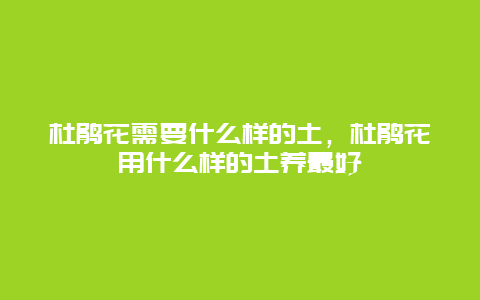 杜鹃花需要什么样的土，杜鹃花用什么样的土养最好