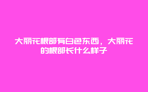 大丽花根部有白色东西，大丽花的根部长什么样子