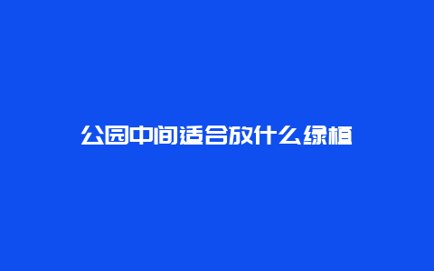 公园中间适合放什么绿植