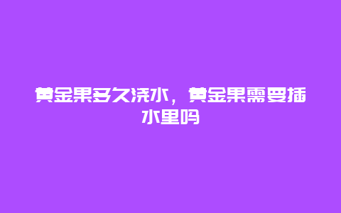 黄金果多久浇水，黄金果需要插水里吗