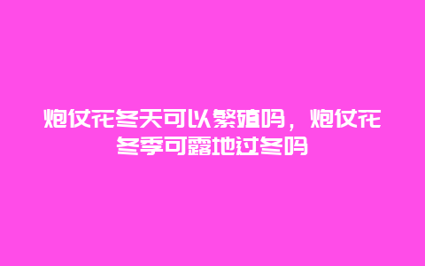 炮仗花冬天可以繁殖吗，炮仗花冬季可露地过冬吗