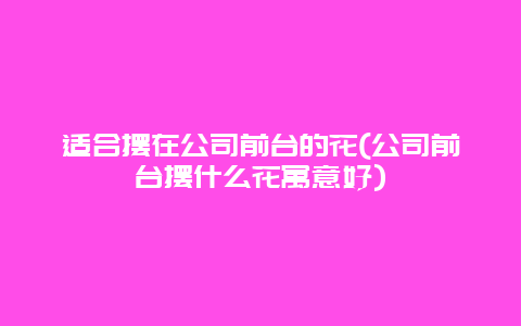 适合摆在公司前台的花(公司前台摆什么花寓意好)