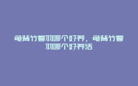 龟背竹春羽哪个好养，龟背竹春羽哪个好养活