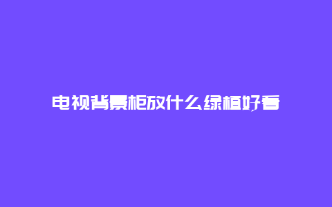 电视背景柜放什么绿植好看