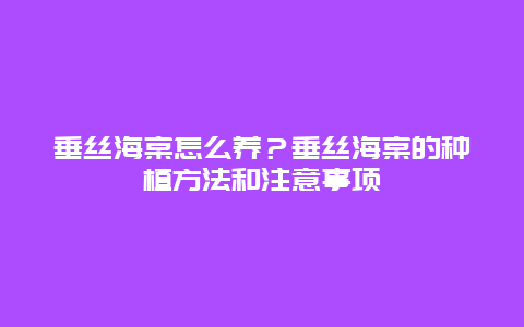 垂丝海棠怎么养？垂丝海棠的种植方法和注意事项