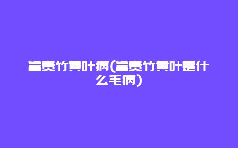 富贵竹黄叶病(富贵竹黄叶是什么毛病)