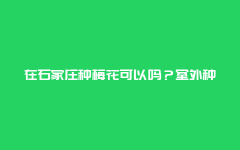 在石家庄种梅花可以吗？室外种