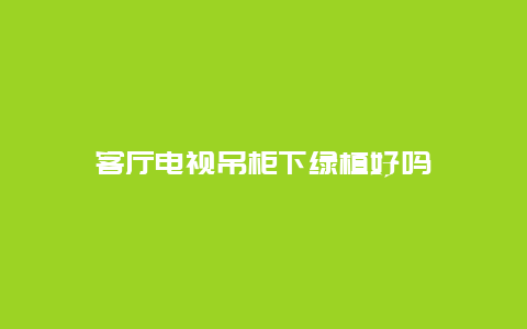 客厅电视吊柜下绿植好吗