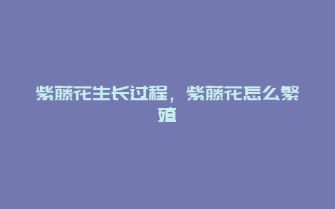 紫藤花生长过程，紫藤花怎么繁殖