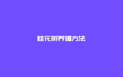 桂花树养殖方法