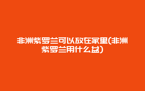 非洲紫罗兰可以放在家里(非洲紫罗兰用什么盆)