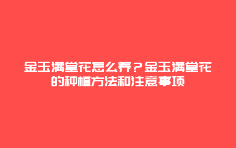 金玉满堂花怎么养？金玉满堂花的种植方法和注意事项