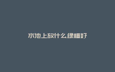 水池上放什么绿植好