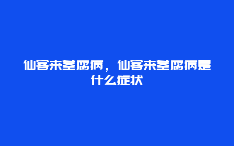 仙客来茎腐病，仙客来茎腐病是什么症状