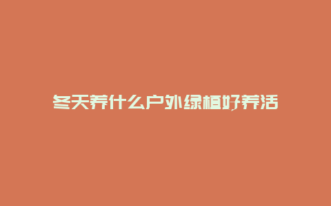 冬天养什么户外绿植好养活