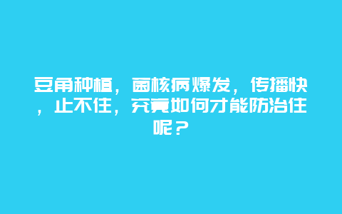 豆角种植，菌核病爆发，传播快，止不住，究竟如何才能防治住呢？