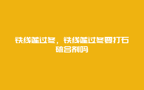 铁线莲过冬，铁线莲过冬要打石硫合剂吗