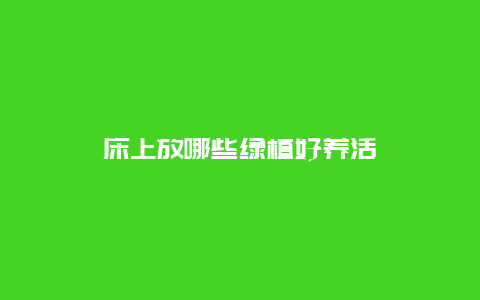 床上放哪些绿植好养活