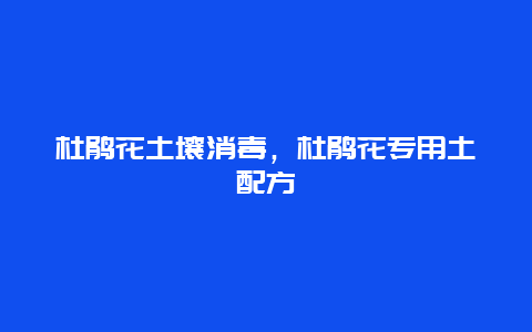 杜鹃花土壤消毒，杜鹃花专用土配方