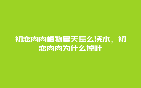 初恋肉肉植物夏天怎么浇水，初恋肉肉为什么掉叶