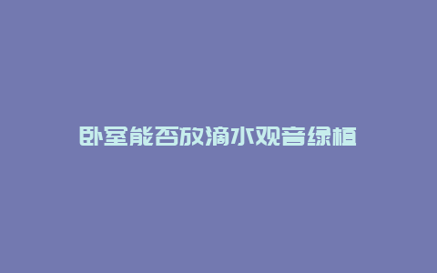 卧室能否放滴水观音绿植