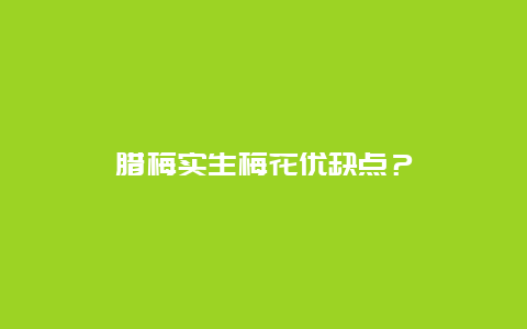 腊梅实生梅花优缺点？