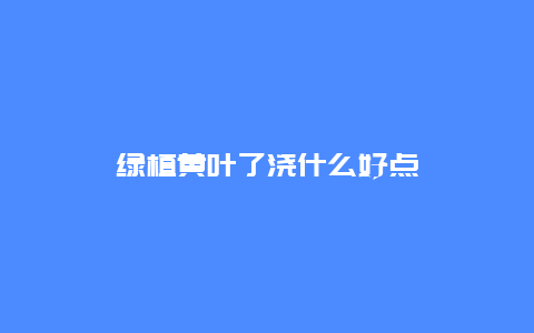 绿植黄叶了浇什么好点