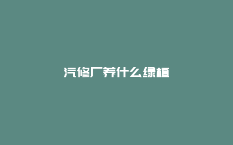 汽修厂养什么绿植