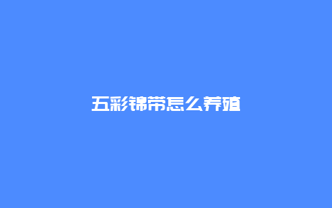 五彩锦带怎么养殖