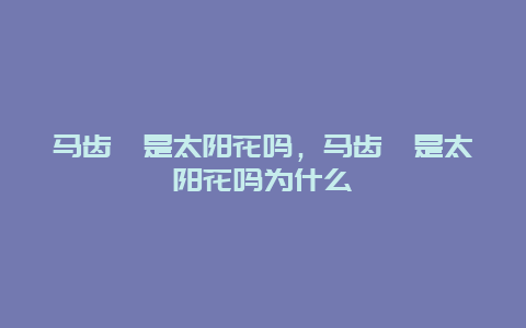 马齿苋是太阳花吗，马齿苋是太阳花吗为什么