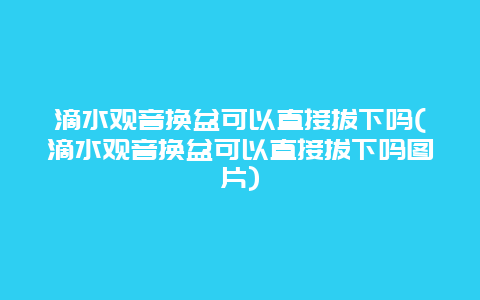 滴水观音换盆可以直接拔下吗(滴水观音换盆可以直接拔下吗图片)