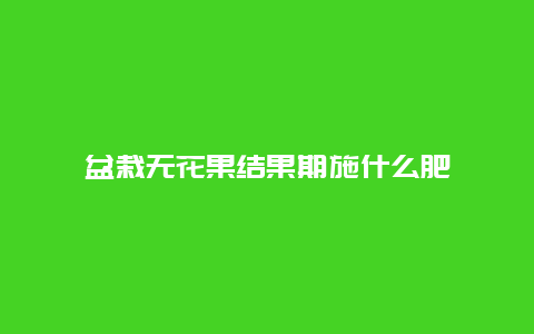 盆栽无花果结果期施什么肥