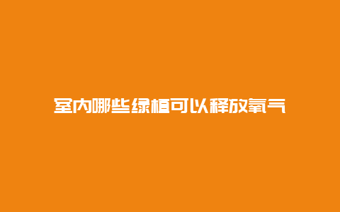 室内哪些绿植可以释放氧气