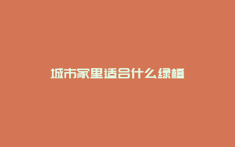 城市家里适合什么绿植