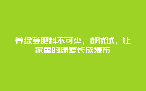 养绿萝肥料不可少，都试试，让家里的绿萝长成瀑布