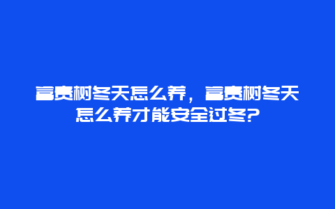 富贵树冬天怎么养，富贵树冬天怎么养才能安全过冬?