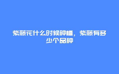 紫藤花什么时候种植，紫藤有多少个品种