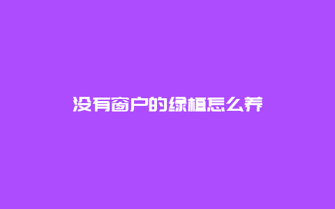 没有窗户的绿植怎么养