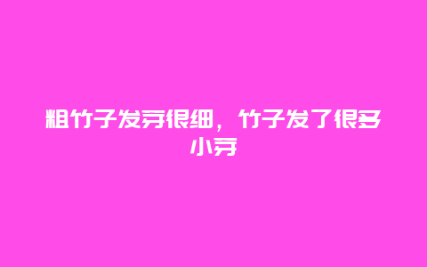 粗竹子发芽很细，竹子发了很多小芽