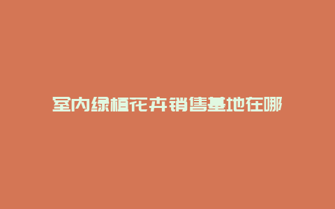 室内绿植花卉销售基地在哪