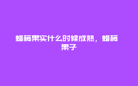 蜡梅果实什么时候成熟，蜡梅 果子