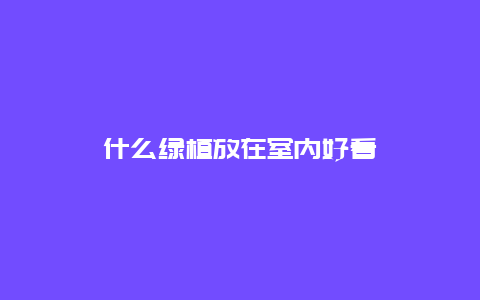 什么绿植放在室内好看