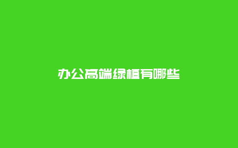 办公高端绿植有哪些