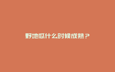 野地瓜什么时候成熟？