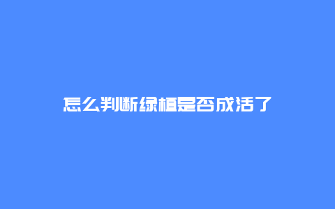 怎么判断绿植是否成活了