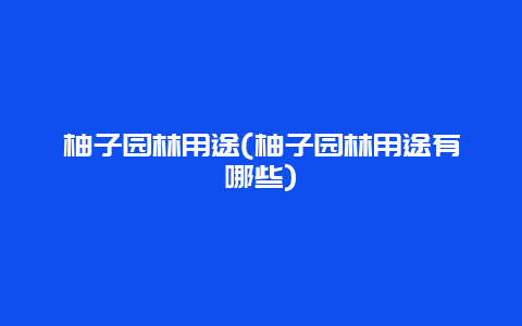 柚子园林用途(柚子园林用途有哪些)