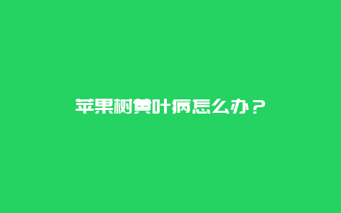 苹果树黄叶病怎么办？